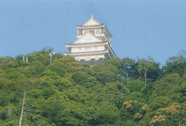 山の上に岐阜城が見えます