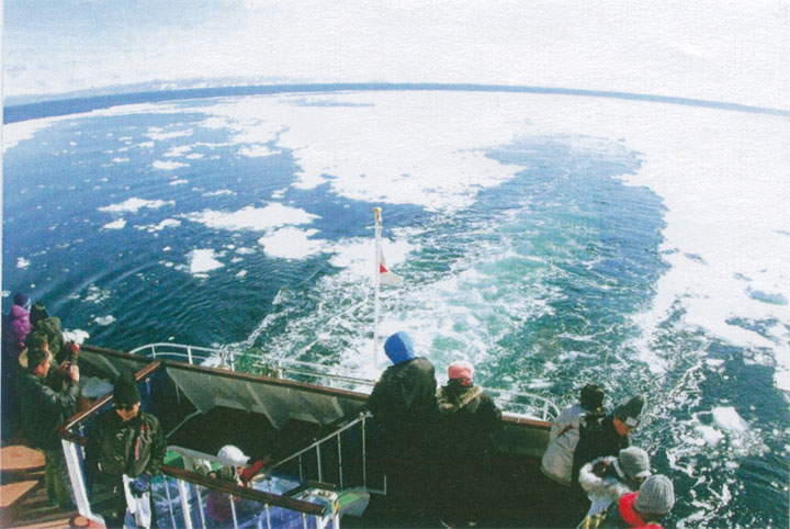 船から見た流氷