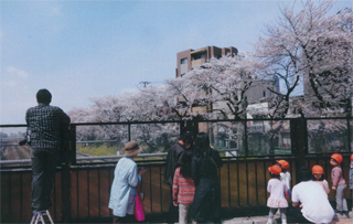 桜の名所・東中野です